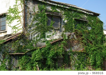 廃屋 968916