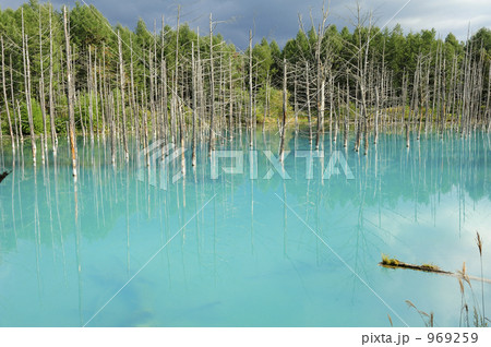 あおい池 969259
