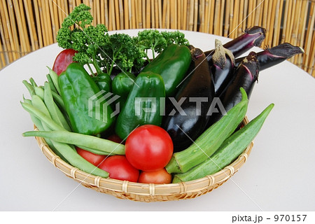 家庭菜園の野菜達 970157