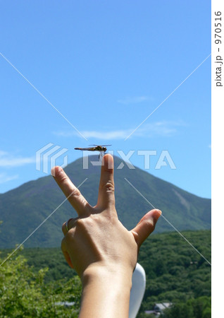 蜻蛉 蜻蛉 970516