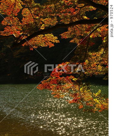 紅葉光影 紅葉光影 970524