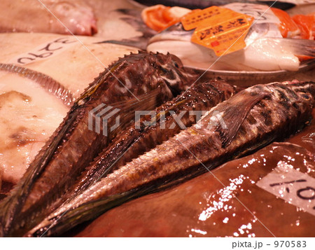 めずらしいお魚、八角☆ 970583