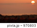 雀と夕日 970803