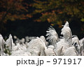 971917