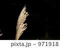 971918