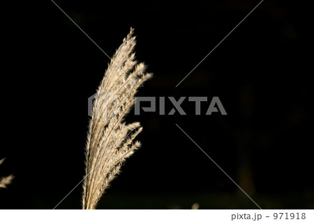 971918