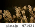 971921