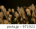 971922
