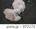 972172