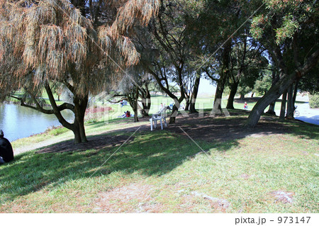 休日ののんびりとしたひととき。カリフォルニア。 973147