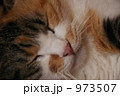 973507