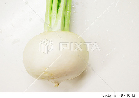 カブあっぷ 974043