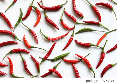 Colorful spice 975734