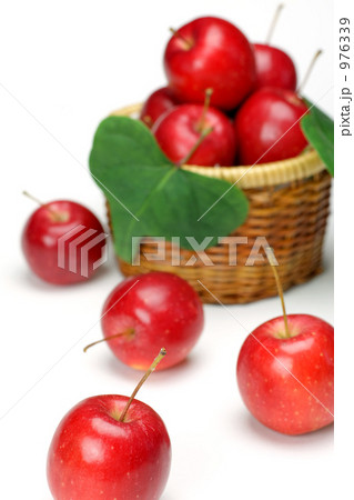 姫リンゴ 姫リンゴ 976339