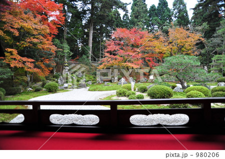 曼殊院庭園 980206