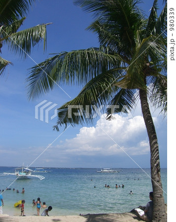 セブ島の砂浜 980339