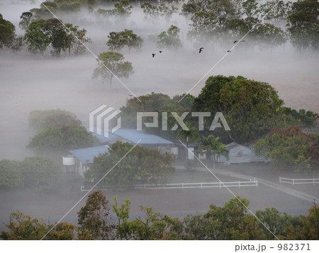 牧場の朝 牧場の朝 982371