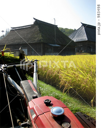 収穫中 収穫中 983498