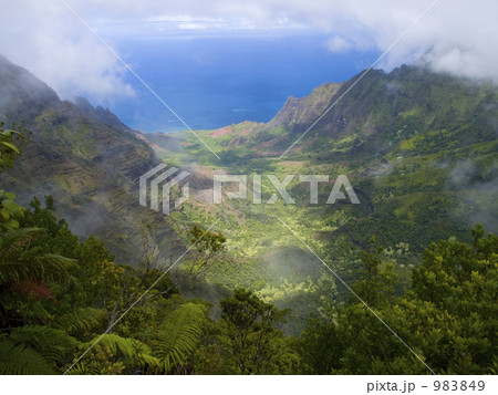 カウアイ島のカララウ渓谷 カウアイ島のカララウ渓谷 983849