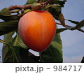 984717
