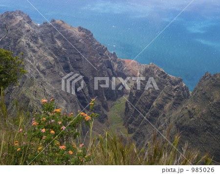 カウアイ島のアワアワプヒ渓谷 カウアイ島のアワアワプヒ渓谷 985026