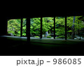 額縁庭 986085