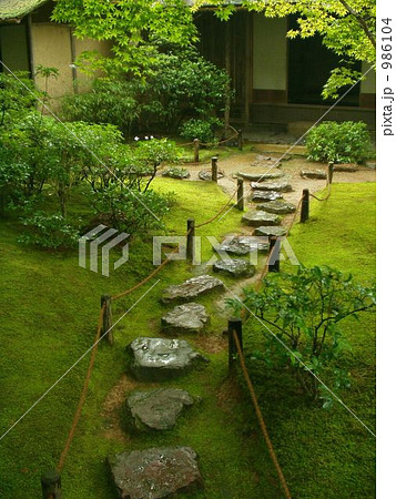 濡れた飛び石 986104