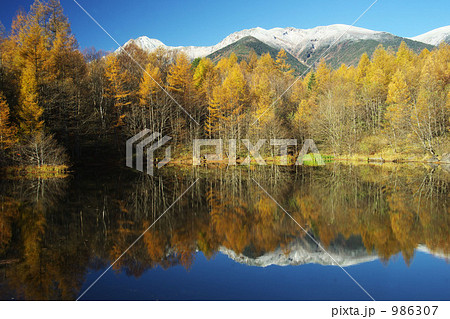 晩秋の池 晩秋の池 986307