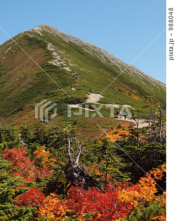 紅葉の爺ヶ岳 紅葉の爺ヶ岳 988048