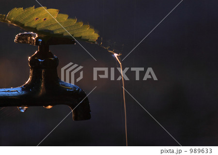 蛇口と雨水 989633