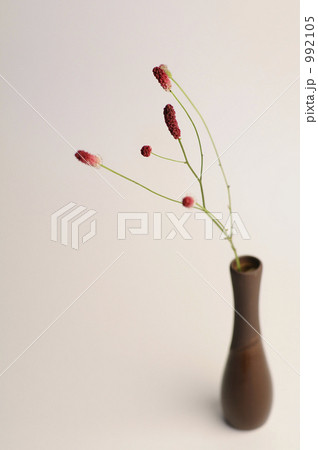 花一凛　われもこう 992105