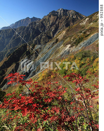 五龍岳の紅葉 五龍岳の紅葉 992888