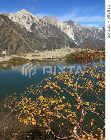 紅葉の八方池 紅葉の八方池 992921