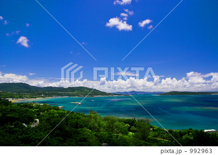 沖縄　琉宮城蝶々園からの海 992963