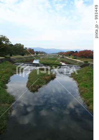 鴨川情景 鴨川情景 993449