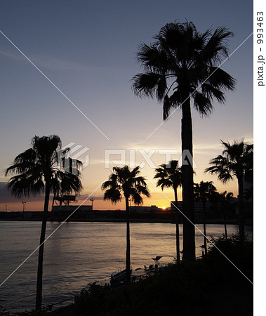 ATC近辺で撮影した夕景 993463