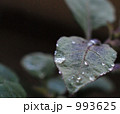 水滴 993625