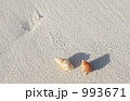 砂浜とやどかりと 993671