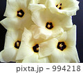 花おくら 994218