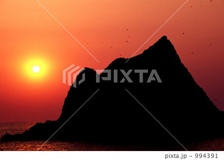 群れ飛ぶ 群れ飛ぶ 994391