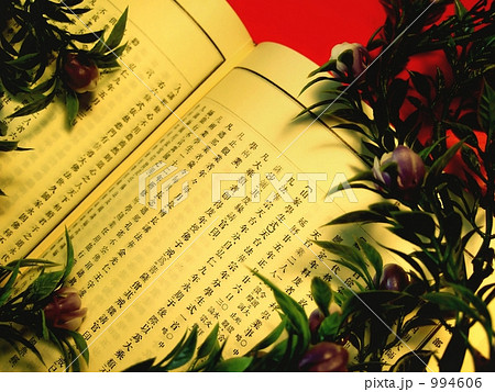 漢文/明治時代編纂の事典辞書/著作権切れの確認用画像あり 漢文/明治時代編纂の事典辞書/著作権切れの確認用画像あり 994606