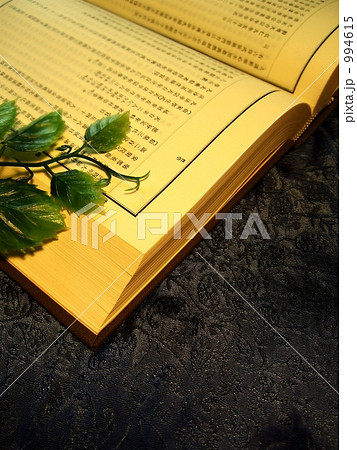 漢文／明治時代編纂の事典辞書／著作権切れの確認用画像あり 994615