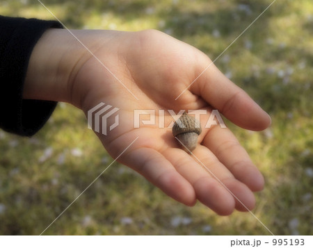 小さな贈り物 995193