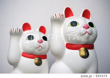 welcome cat-15 995474
