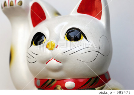 welcome cat-16 welcome cat-16 995475