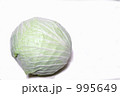 キャベツ 995649