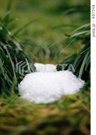 なごり雪 なごり雪 997548