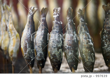 鮎の塩焼き 997639