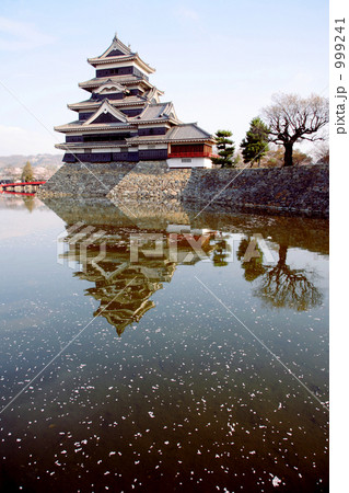 春の松本城 999241