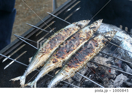秋刀魚 さんま の串焼き バーベキューの写真素材